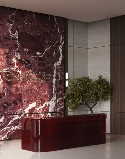 luxurious ruby apartments lobby with marble wall